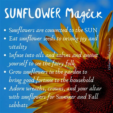 Sunflower Divination Tools: Using Sunflowers to Access Intuition and Insight